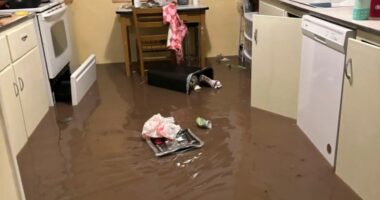 A Texas family clung to life on their roof, capturing the terrifying flooding in photos and video