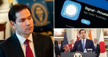 AI-powered Rubio impersonator makes calls to foreign ministers, other top officials: report
