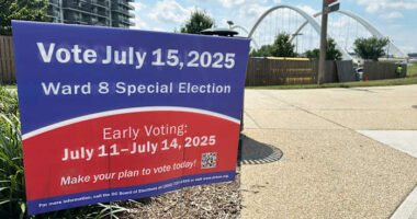 AP Decision Notes: What to expect in the Washington, DC, city council special election
