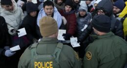 After Years of Denials, the Press Finally Admit the Truth About Illegal Immigration and Healthcare
