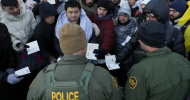 After Years of Denials, the Press Finally Admit the Truth About Illegal Immigration and Healthcare