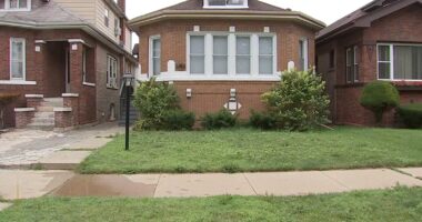 Alleged squatters move next-door to Illinois state Rep. Marcus Evans in Avalon Park, Chicago: 'Going to be calling the governor'