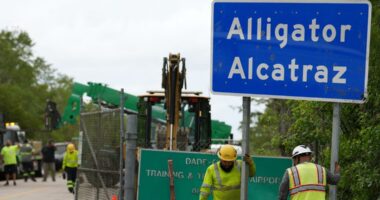 Alligator Alcatraz detainee speaks from inside Everglades facility