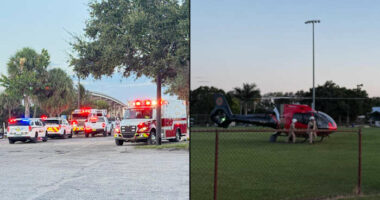 Alligator bites woman, pulls her under the water in Florida, sheriff’s office says
