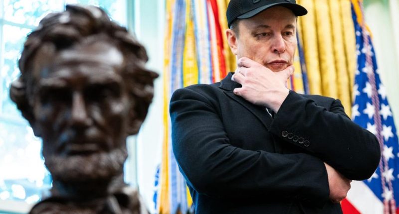 'America Party' proves Elon Musk needs a political time-out