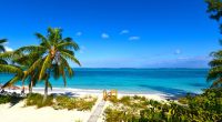 American tourist vanishes in tropical paradise after early morning walk from vacation rental
