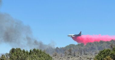 An official says a historic Grand Canyon lodge has been destroyed by wildfire