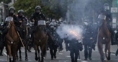 Anti-ICE Protestors Douse Themselves in Milk to Fight Off Pepper Spray at Cannabis Facility in California