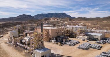 Apple cuts a deal for recycling rare earth magnets in the US