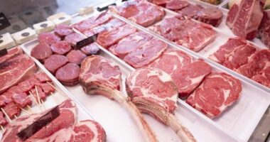 Australia lifts ban on US beef imports