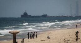 BCG earned more than $1mn for Gaza aid barge project