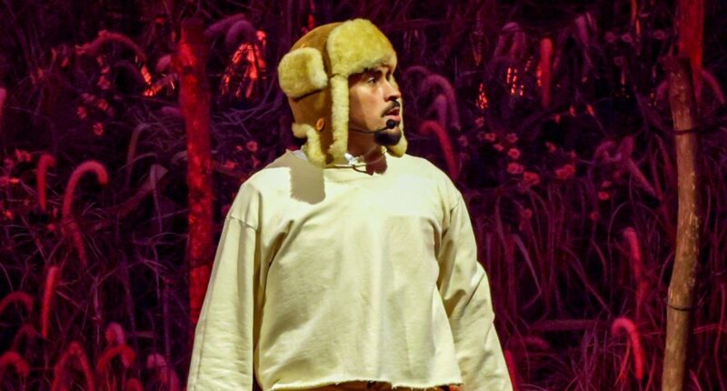 Bad Bunny has given Puerto Rico a 'new influence' on the world stage, proud fans say
