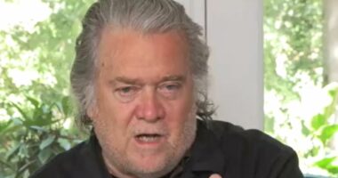 Bannon shares theory about why WSJ revealed Trump's Epstein letter
