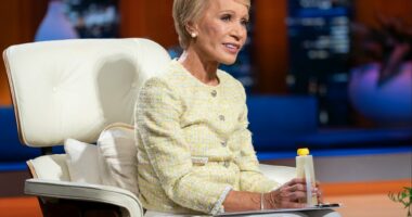 Barbara Corcoran Retains Staff With Wild Perks, No Turnover