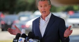 Behind the 'boondoggle' of Newsom's high-speed rail dream