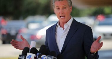 Behind the 'boondoggle' of Newsom's high-speed rail dream