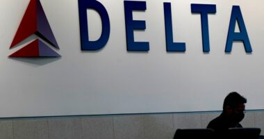Berkeley County family sues Delta Airlines over explicit videos taken by employee on stolen iPad