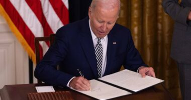 Biden reveals why he relied on autopen to grant sweeping pardons
