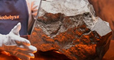 Biggest piece of Mars on Earth could bring in millions at auction