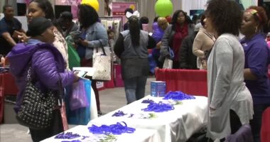 Black Women's Expo to celebrate 30 years of sisterhood at Chicago's McCormick Place
