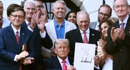 Blue-state leaders weigh new laws to deal with financial fallout from Trump's big bill