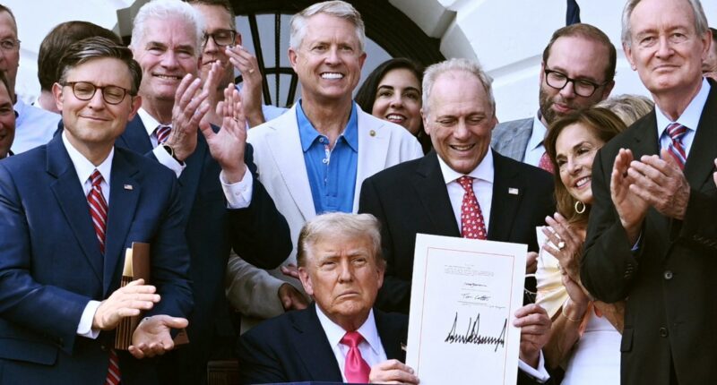 Blue-state leaders weigh new laws to deal with financial fallout from Trump's big bill