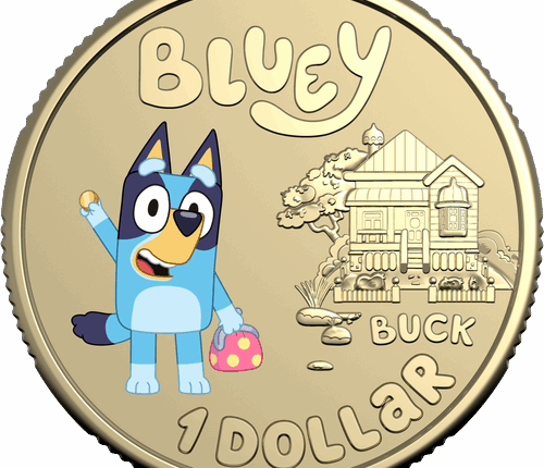 Bluey coin