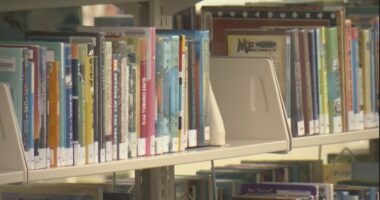 Book ban battle heats up in Beaufort County