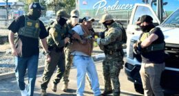 Border Patrol says some illegal migrants arrested in Sacramento raid had criminal histories