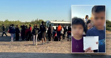 Border crisis under Biden reveals shocking abuse of migrant children placed with unvetted sponsors: DHS
