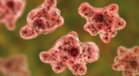 Boy, 12, dies of brain-eating amoeba after swimming in South Carolina reservoir