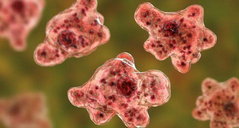 Boy, 12, dies of brain-eating amoeba after swimming in South Carolina reservoir