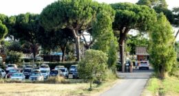 Cars parked in a lot near a gated entrance, surrounded by tall pine trees.