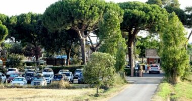 Cars parked in a lot near a gated entrance, surrounded by tall pine trees.