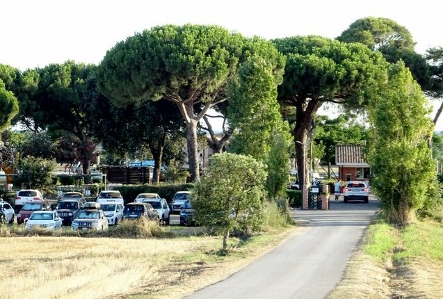 Cars parked in a lot near a gated entrance, surrounded by tall pine trees.