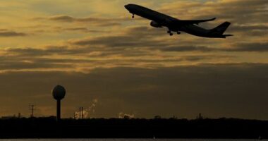 A Brisbane man who was accused of making a bomb threat while onboard a flight has been fined $1700 after he travelled under a fake name.