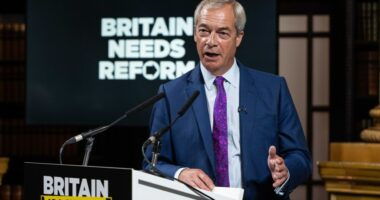 Nigel Farage speaking at a press conference.