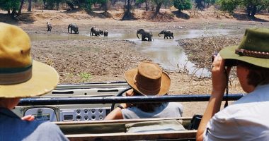 Eastern Province Police Commissioner Robertson Mweemba said the victims, a 68-year-old and a 67-year-old, were attacked by a female elephant that was with a calf at South Luangwa National Park (pictured)