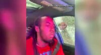 CAUGHT ON CAMERA: Officer smashes window, punches Florida man in face in now viral video