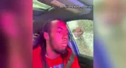 CAUGHT ON CAMERA: Officer smashes window, punches Florida man in face in now viral video