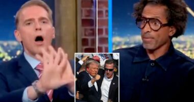 CNN panel devolves into chaos after lefty commentator suggests Trump wasnât actually shot in the ear