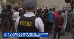 CPD ICE hearing: Immigrant Rights Committee demands investigation into South Loop raid; Chicago police defend involvement