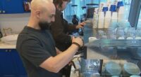 Small business owners react to RBA decision