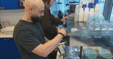 Small business owners react to RBA decision