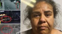 California illegal immigrant Yuriana Calderon faked ICE 'kidnapping' for fundraiser scam and to 'smear' federal agents: DOJ