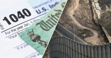 California tax expert admits role in illegal alien's multimillion-dollar fraud scheme