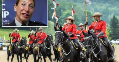 Canadian police official warns 'traditional values' may be sign a person is becoming 'extremist'