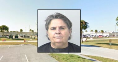 Caregiver forced woman to live in filth with bugs: Cops