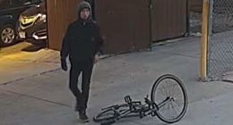 Champaign Co. Crime Stoppers looking for tips on car burglar