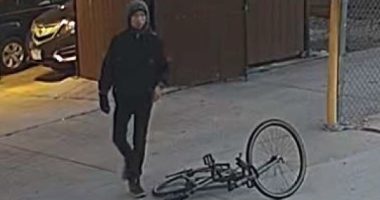 Champaign Co. Crime Stoppers looking for tips on car burglar